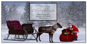 Christmas Reindeer and Santa in Snow Cards  8